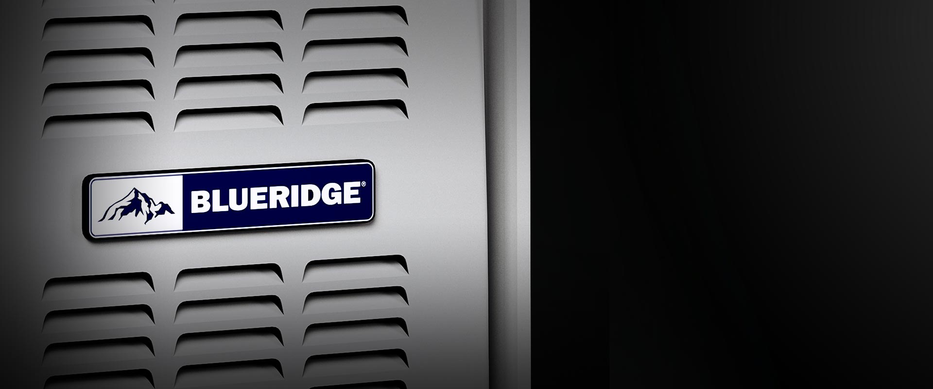 Blueridge BG801E